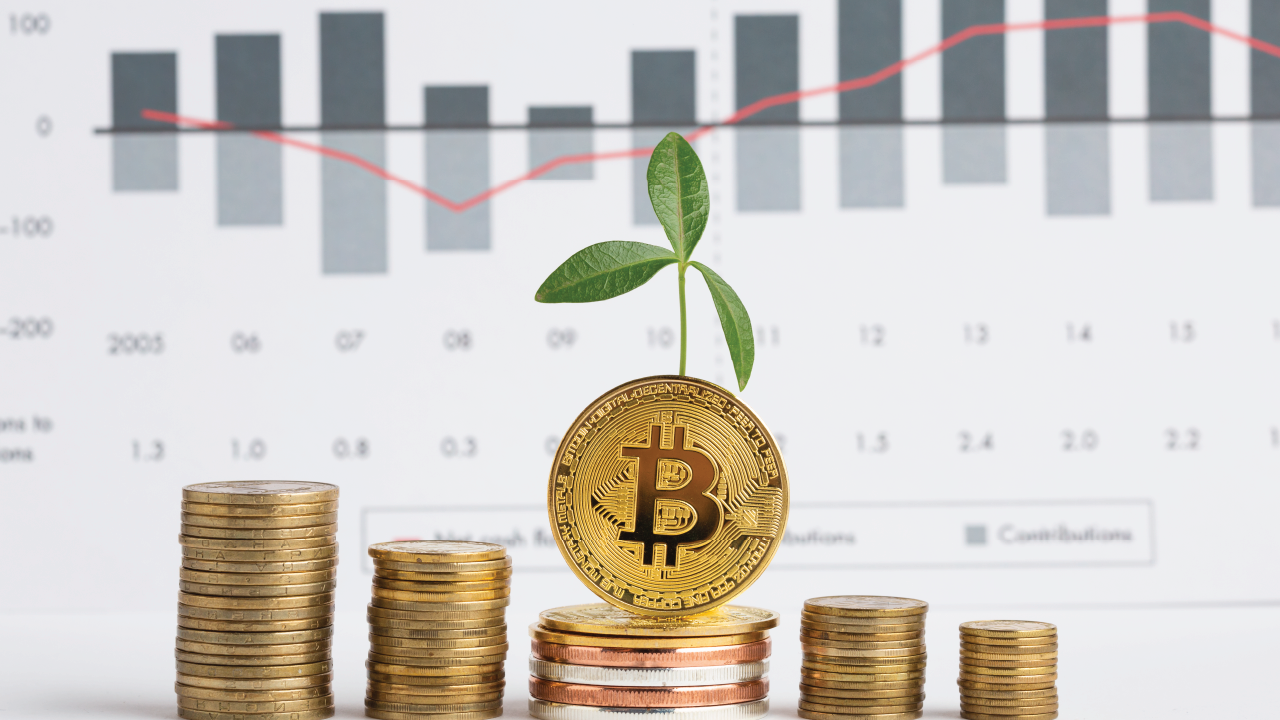 Cara Berinvestasi di NFT