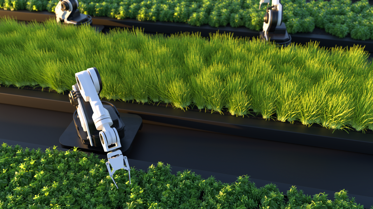 AI for Sustainable Agriculture: Feeding the World with Precision Farming